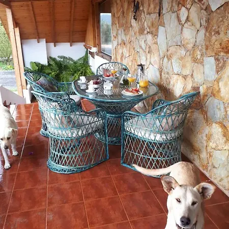 Prázdninový dům Finca Pichementira