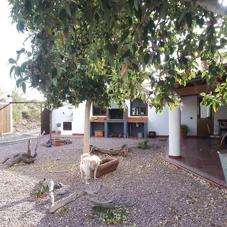 Finca Pichementira Prázdninový dům *