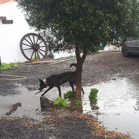 Finca Pichementira Ferienhaus